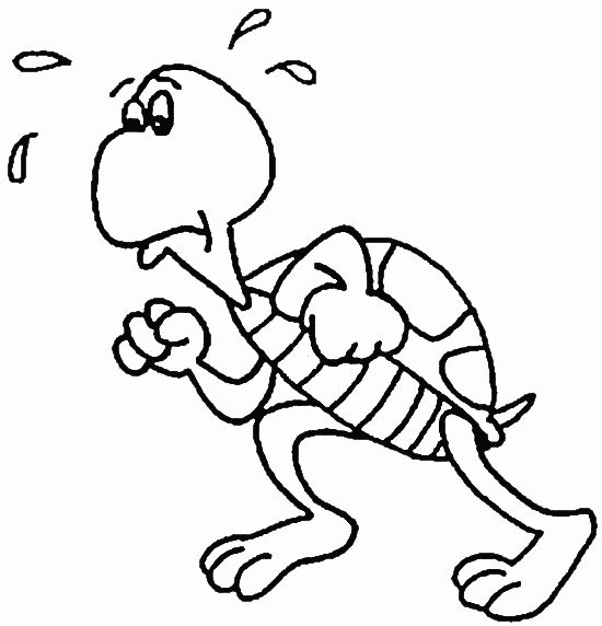 Coloriage d'une tortue sur un fond marin