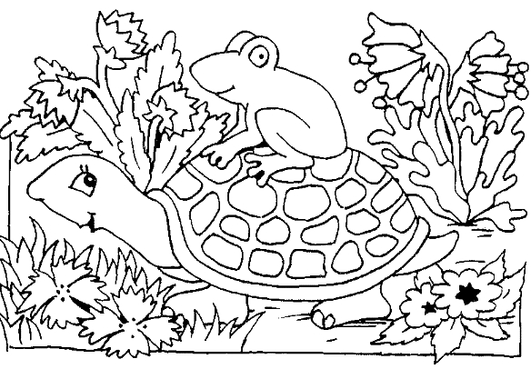 Coloriage d'une tortue nageant dans l'eau avec des détails marins