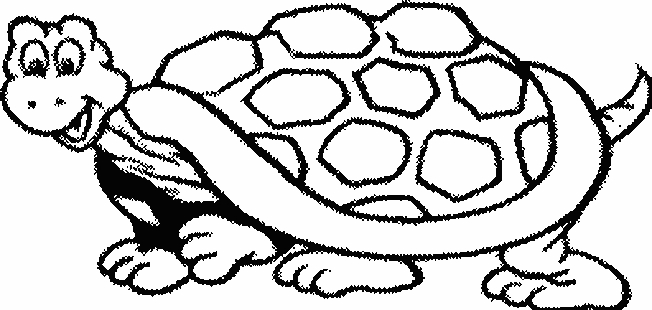 Un coloriage de tortue sur un fond de nature