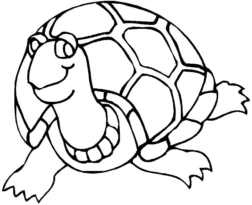 Coloriage d'une tortue sur fond marin