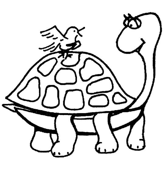 Coloriage d'une tortue sur fond marin