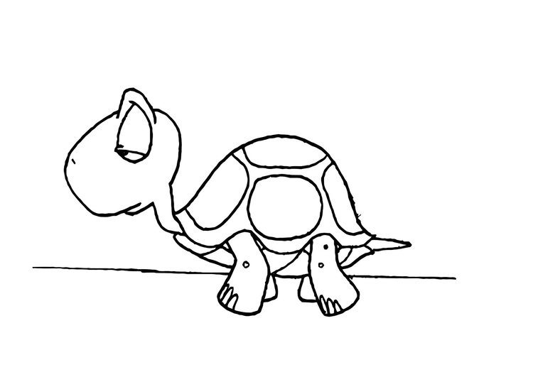 Coloriage d'une tortue sur un fond marin paisible