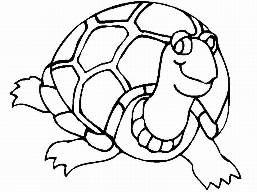 Coloriage d'une tortue se reposant sur une plage