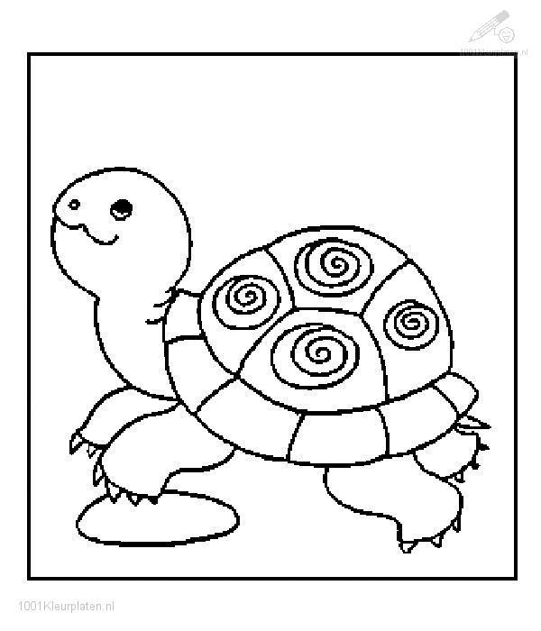 Coloriage d'une tortue sur fond marin