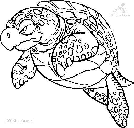 Coloriage d'une tortue dans son habitat marin