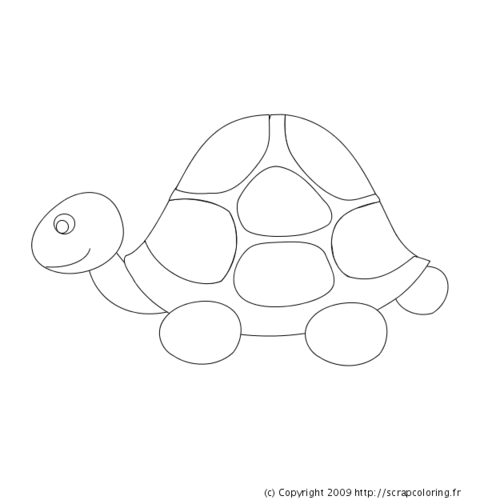 Coloriage d'une tortue nageant paisiblement dans l'eau
