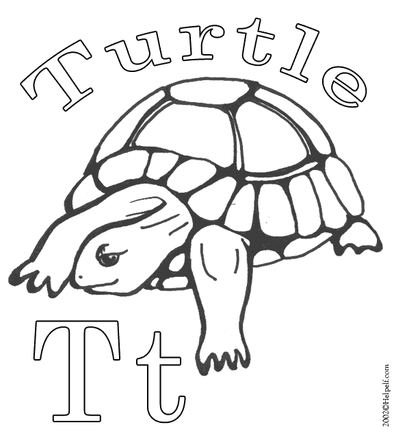 Coloriage d'une tortue sur la plage avec des vagues en arrière-plan