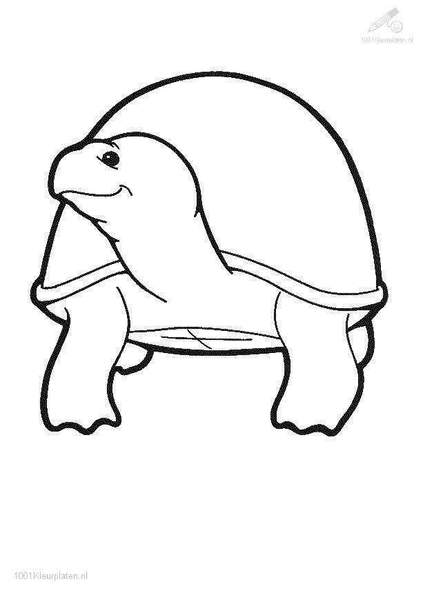 Coloriage d'une tortue nageant paisiblement dans l'eau