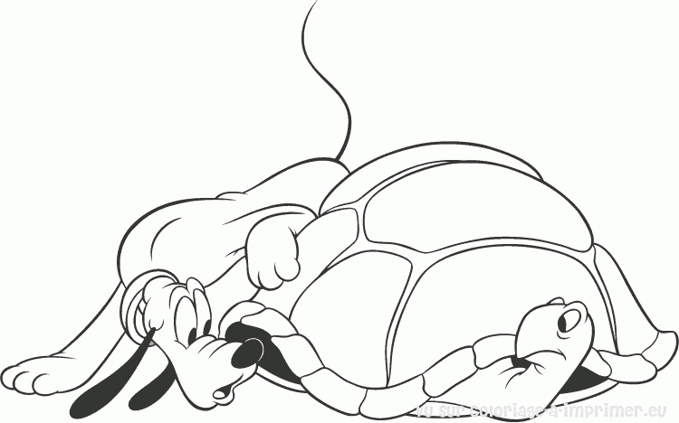 Coloriage d'une tortue sur un fond minimaliste
