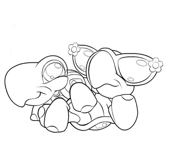 Coloriage d'une tortue sur un fond marin