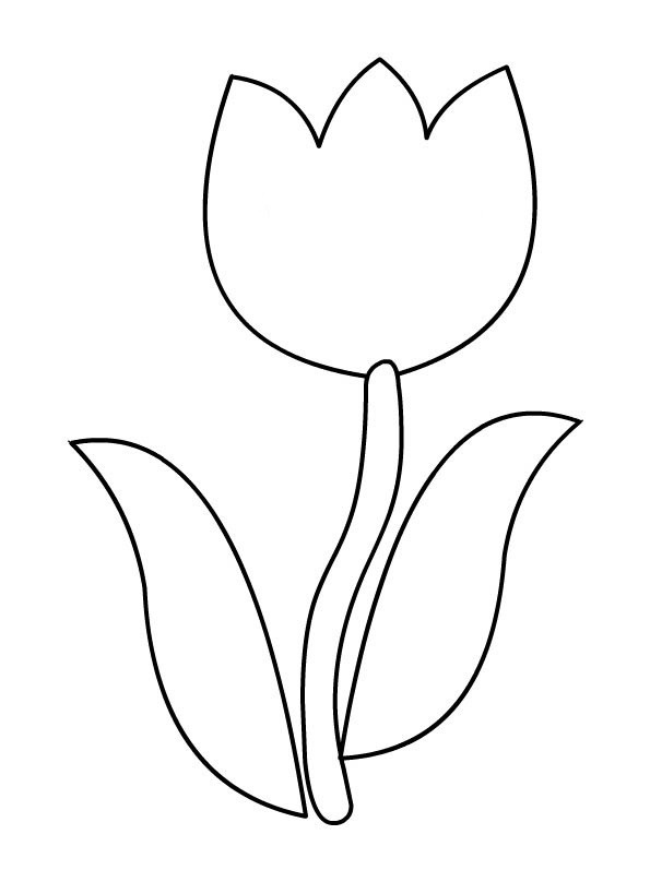 Coloriage d'une tulipe épanouie sur un fond simple