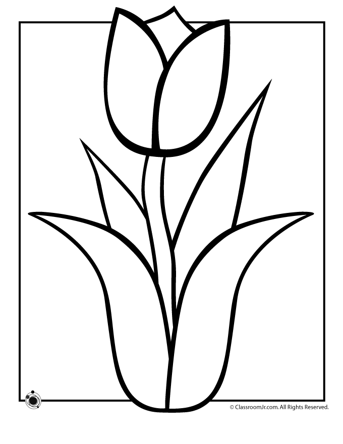Coloriage d'une tulipe épanouie au cœur de la nature