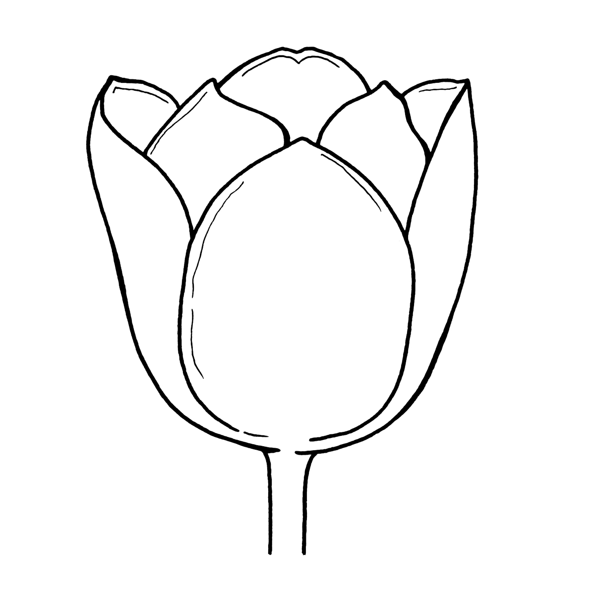 Coloriage d'une tulipe épanouie entourée de feuillage