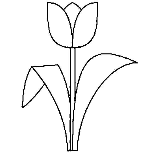 Coloriage d'une tulipe épanouie dans son environnement naturel