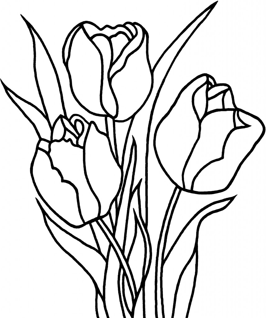 Coloriage d'une tulipe en pleine floraison sur fond simple