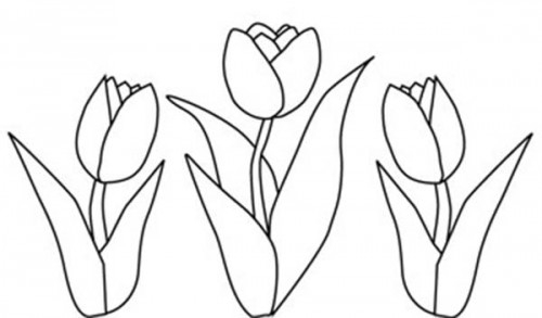 Coloriage d'une tulipe épanouie sur fond simple