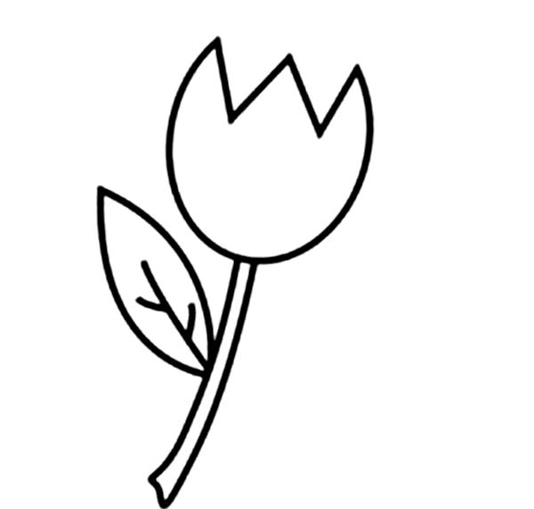 Coloriage d'une tulipe en pleine floraison avec des feuilles