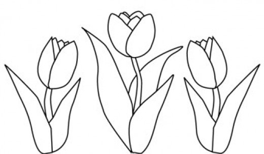 Coloriage d'une tulipe épanouie dans un jardin