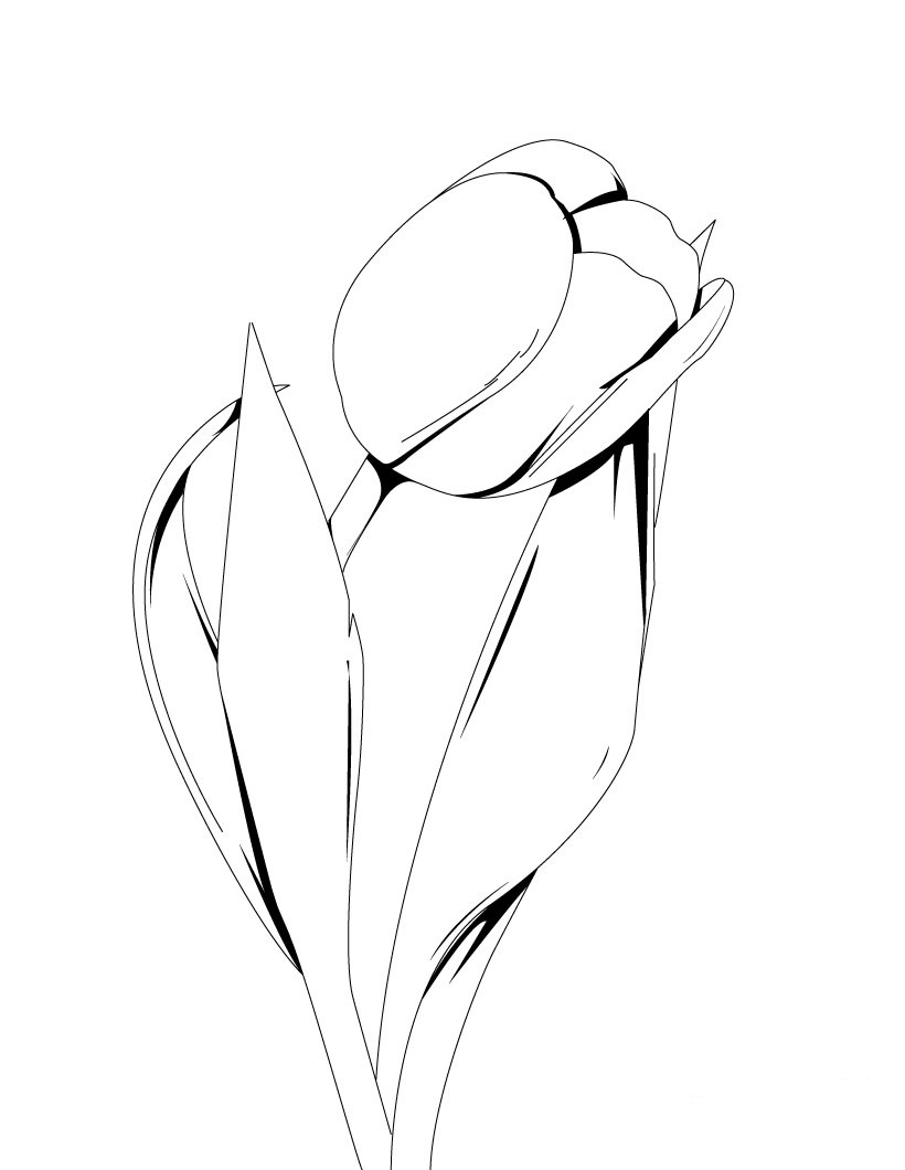 Coloriage d'une tulipe épanouie entourée de feuillage