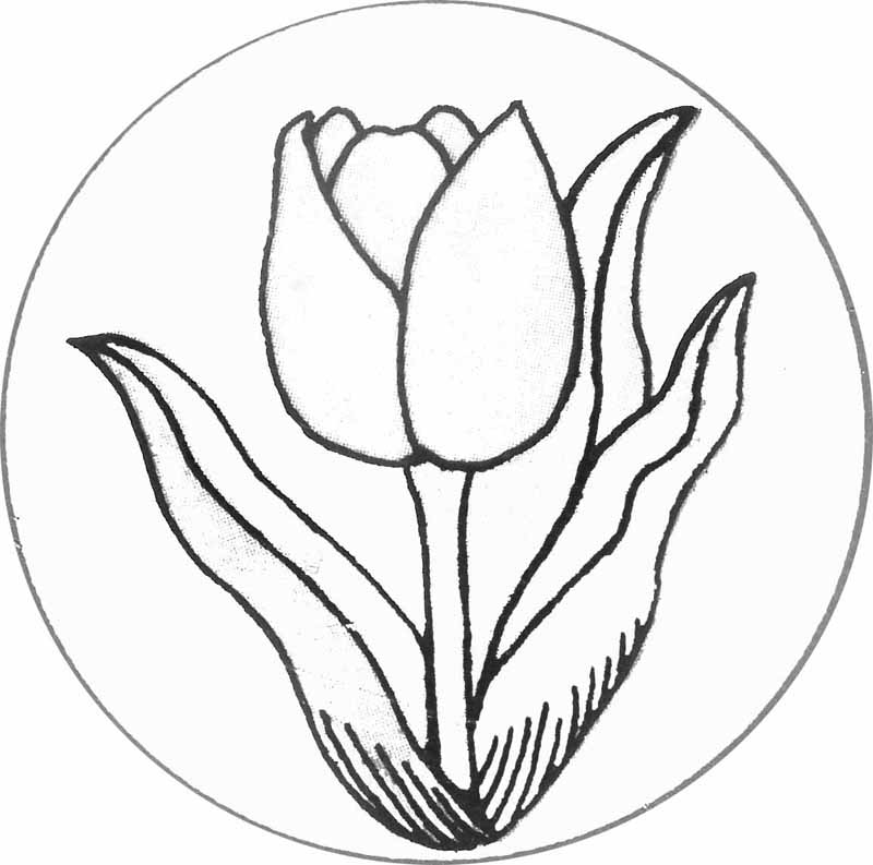 Coloriage d'une tulipe épanouie dans un jardin