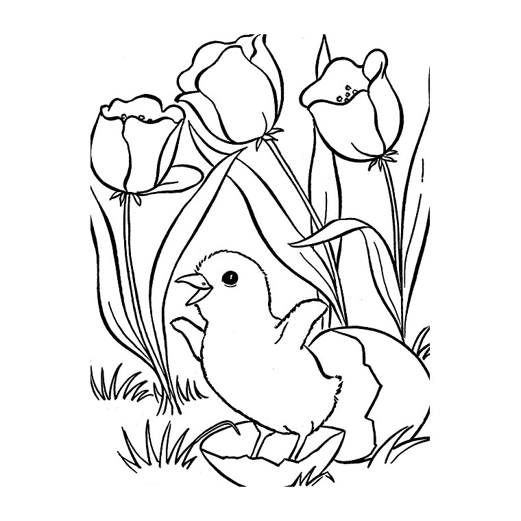 Coloriage d'une tulipe en pleine floraison sur fond simple
