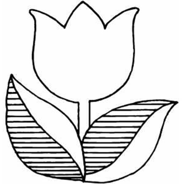 Coloriage d'une tulipe épanouie avec ses feuilles