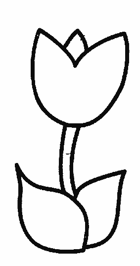 Coloriage d'une tulipe épanouie entourée de feuilles