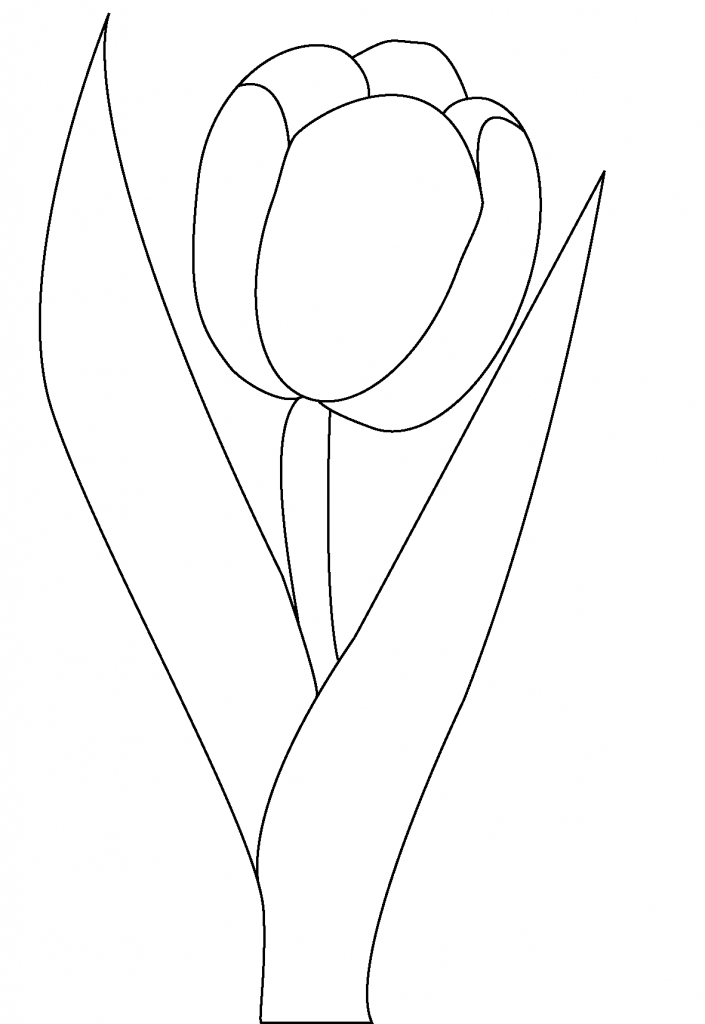 Coloriage d'une tulipe épanouie dans un jardin