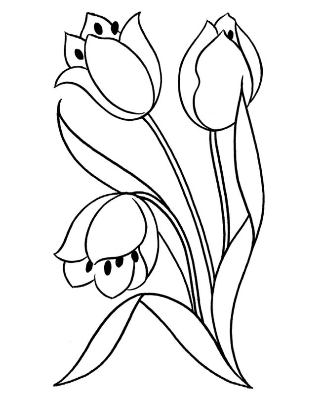 Coloriage d'une tulipe dans un jardin ensoleillé