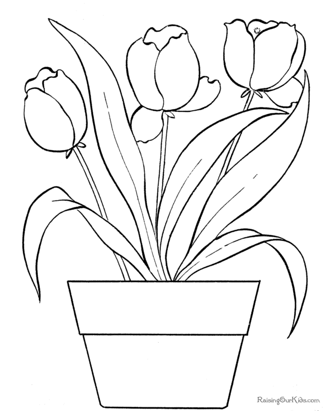 Coloriage d'une tulipe en pleine floraison dans un jardin
