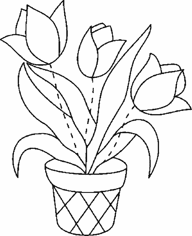 Coloriage d'une tulipe avec des feuilles et un contour simple