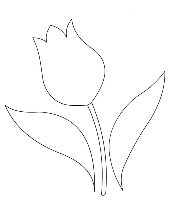 Coloriage d'une tulipe épanouie sur un fond simple