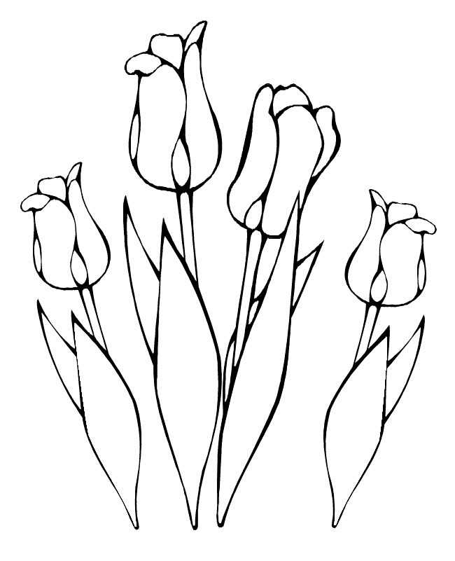Coloriage d'une tulipe en pleine floraison avec des feuilles