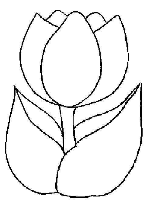 Coloriage d'une tulipe épanouie sur fond simple