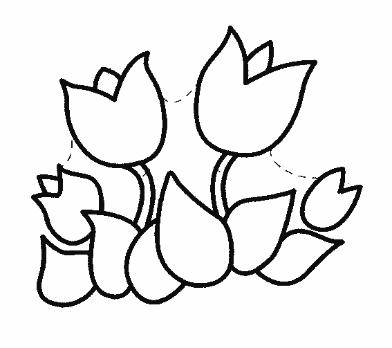 Coloriage de tulipe avec pétales délicats sur tige feuillue
