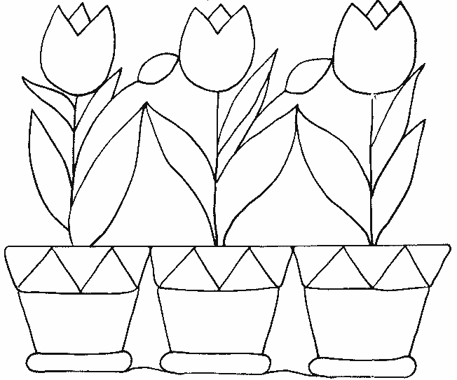Coloriage d'une tulipe en pleine floraison sur fond simple