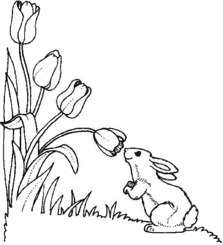 Coloriage d'une tulipe épanouie dans un jardin