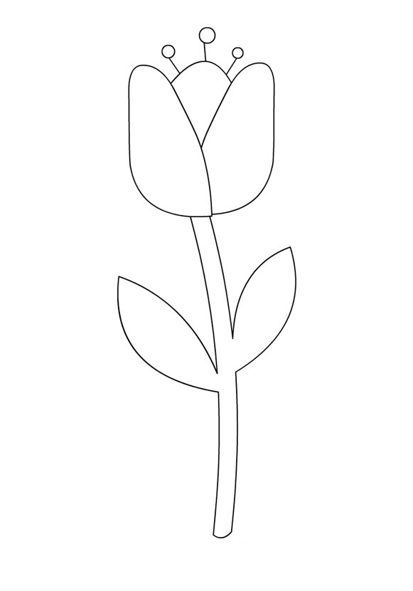 Coloriage de tulipe avec feuillage et éléments floraux
