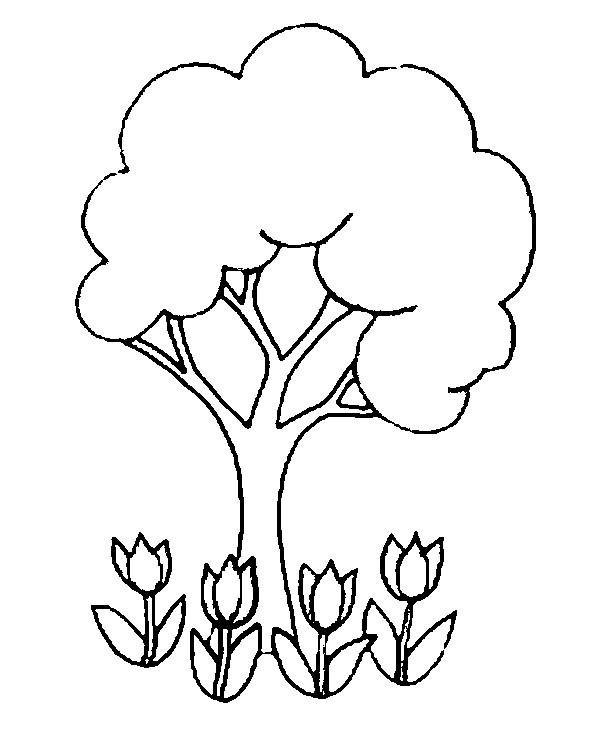 Coloriage d'une tulipe en pleine floraison avec feuillage