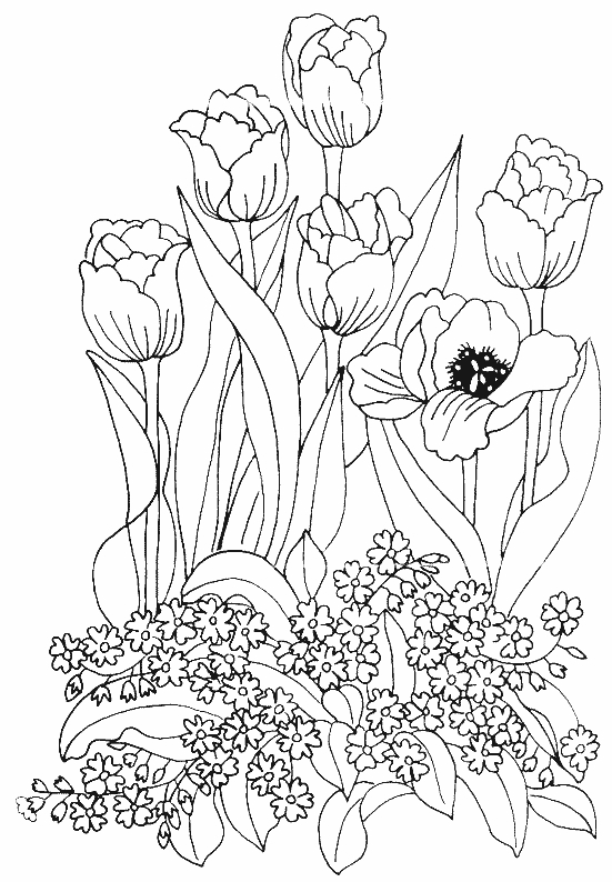 Coloriage d'une tulipe épanouie dans un jardin