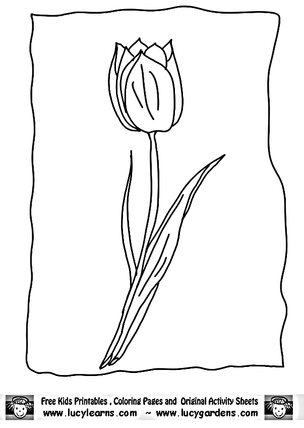Coloriage d'une tulipe épanouie entourée de feuilles
