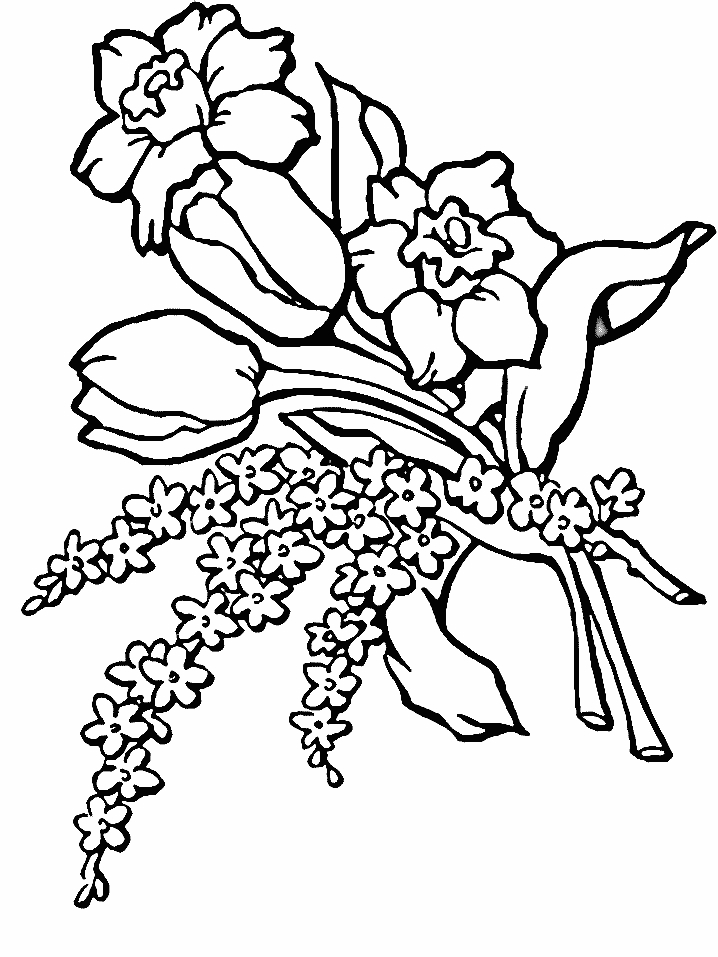 Coloriage d'une tulipe épanouie dans un jardin simple