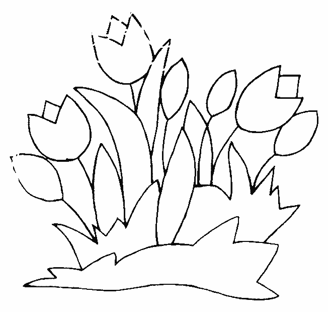 Coloriage d'une tulipe épanouie entourée de feuilles