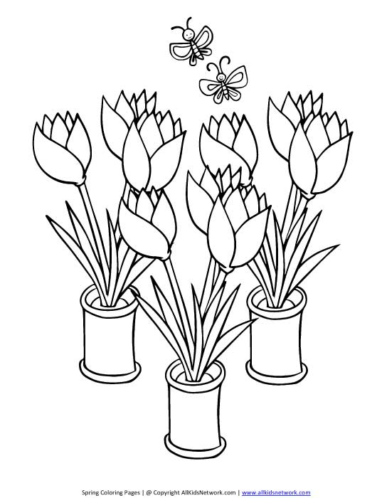Coloriage d'une tulipe épanouie dans un jardin