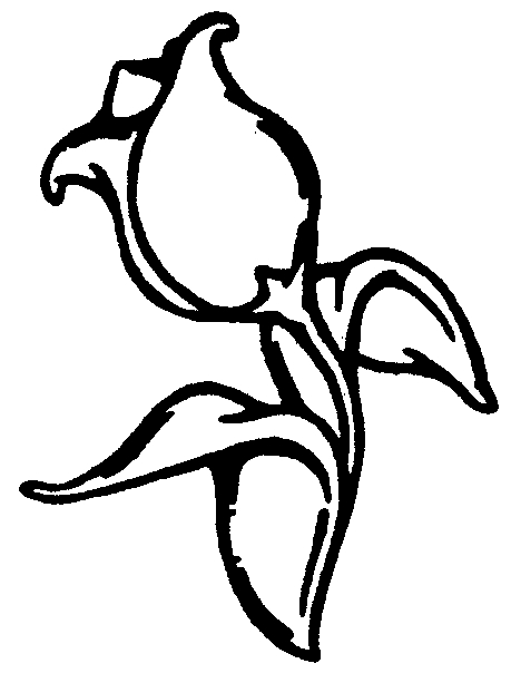 Coloriage d'une tulipe au cœur d'un jardin simple