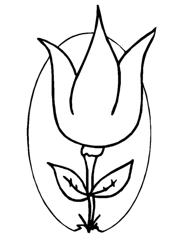 Coloriage d'une tulipe épanouie sur un fond simple