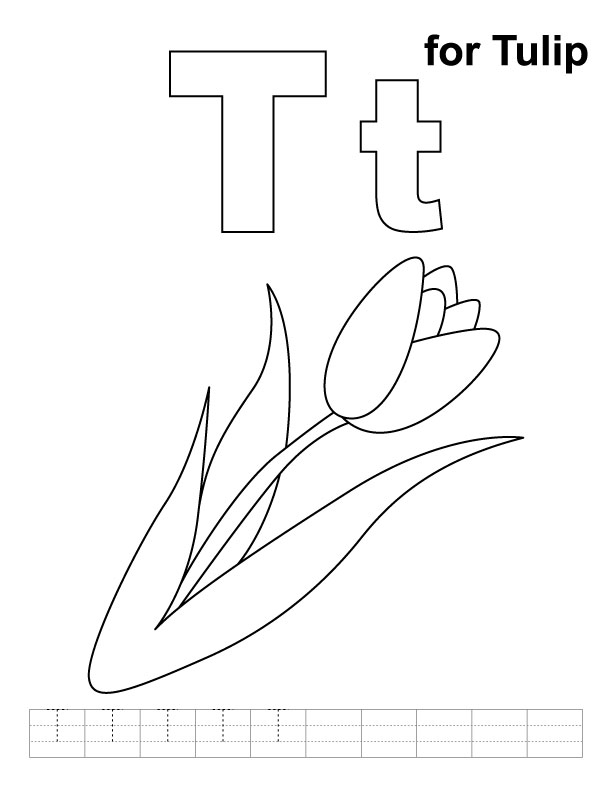 Coloriage d'une tulipe en pleine floraison sur fond simple