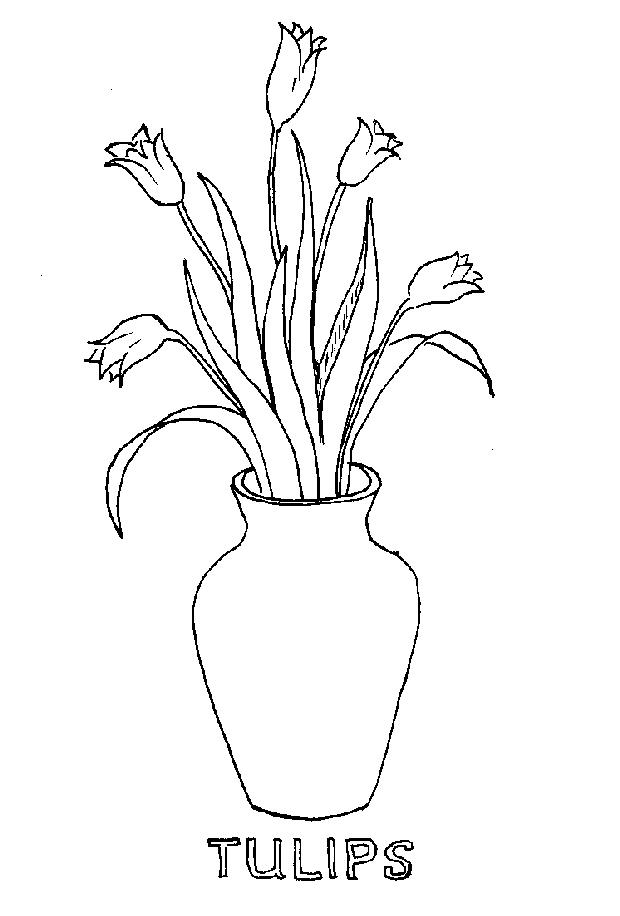 Coloriage d'une tulipe entourée de feuilles sur un fond simple