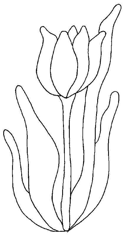 Coloriage d'une tulipe épanouie sur fond simple