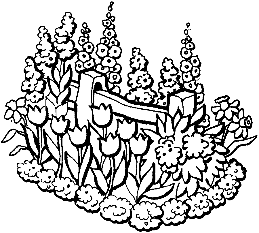 Coloriage d'une tulipe épanouie entourée de feuillage